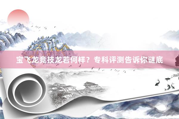 宝飞龙竞技龙若何样？专科评测告诉你谜底